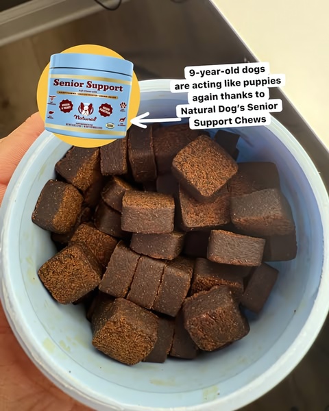 A close-up, top-down shot of a container filled with senior support chews, featuring a clear text overlay that highlights the product's benefits for aging pets.